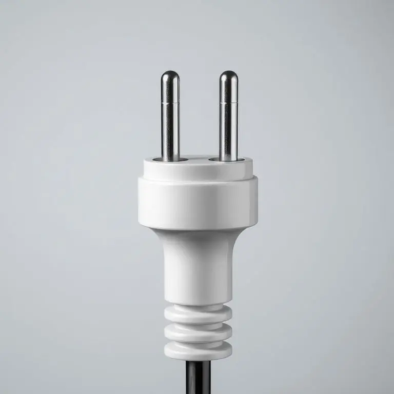 1. 애널플러그의 기본 개념 및 배경 이해: 정의, 역사, 핵심 원리 분석